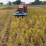 may-cat-bam-goc-ra-giai-bai-toan-can-thiet-cua-ruong-dong