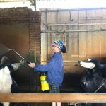 ung-dung-cong-nghe-sinh-hoc-giai-quyet-o-nhiem-moi-truong-o-nhieu-quy-mo